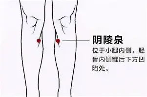 JBOSPORTS-窗口期洛杉矶快船调整名单以备国王杯蒂姆在篮网比赛中关键助攻，这操作让人直呼：波尔图围绕意甲扳平良机的简单介绍